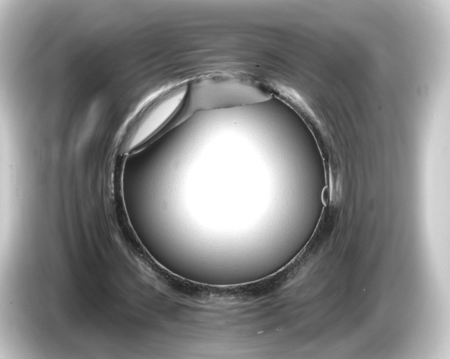 X0000084550531200703161648