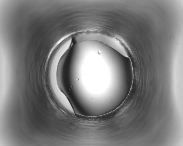 X0000084550532200703161648