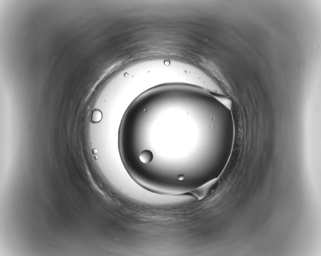 X0000084550534200703161648