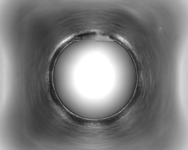 X0000084550535200703161648