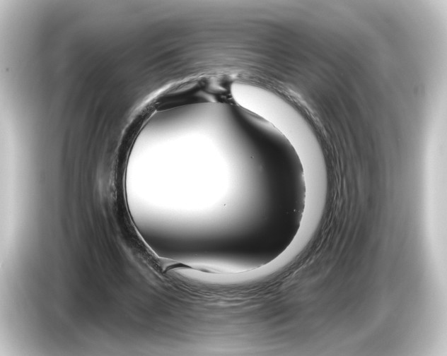 X0000084550536200703161648