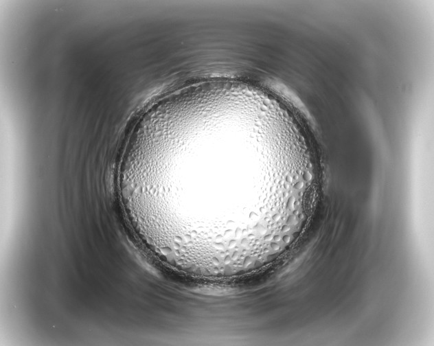 X0000084550537200703161648