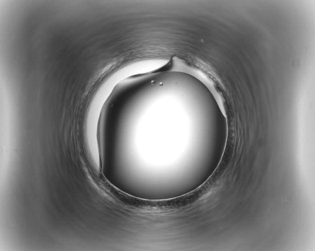 X0000084550538200703161648