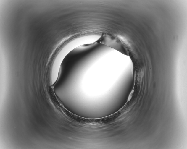 X0000084550540200703161648