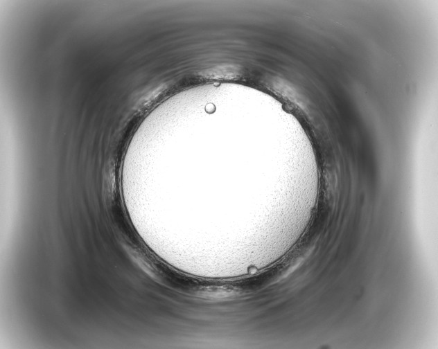 X0000084550541200703161648