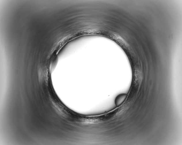 X0000084550542200703161648