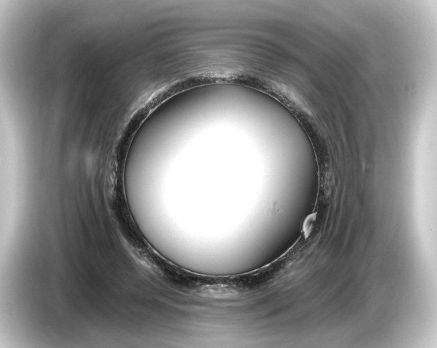 X0000084550544200703161648