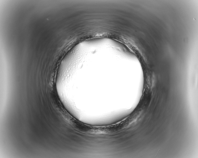 X0000084550545200703161648