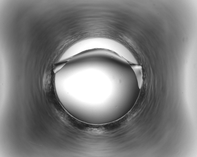 X0000084550548200703161648