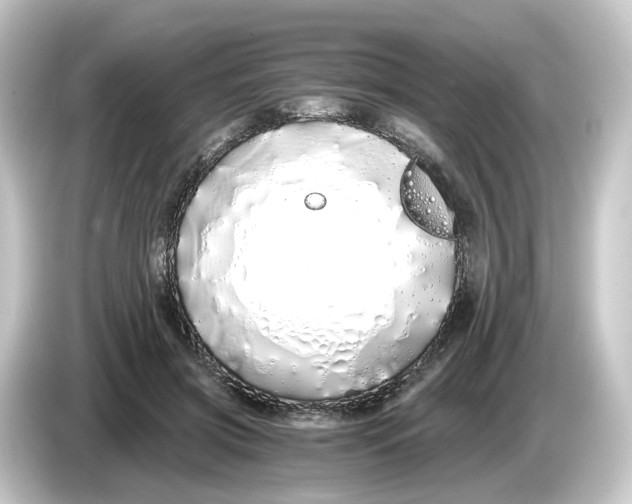 X0000084550549200703161648