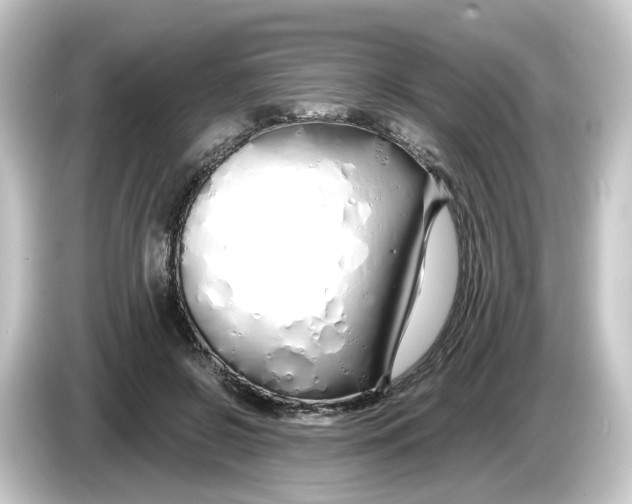 X0000084550550200703161648