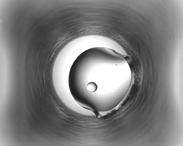 X0000084550552200703161648