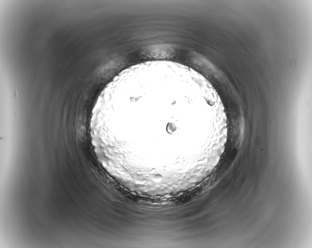 X0000084550553200703161648