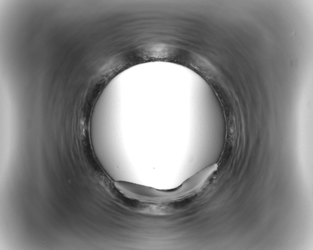 X0000084550555200703161648