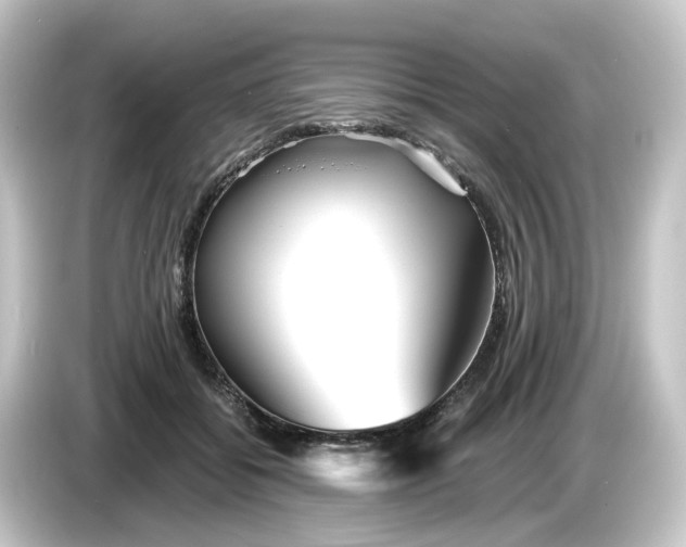 X0000084550556200703161648