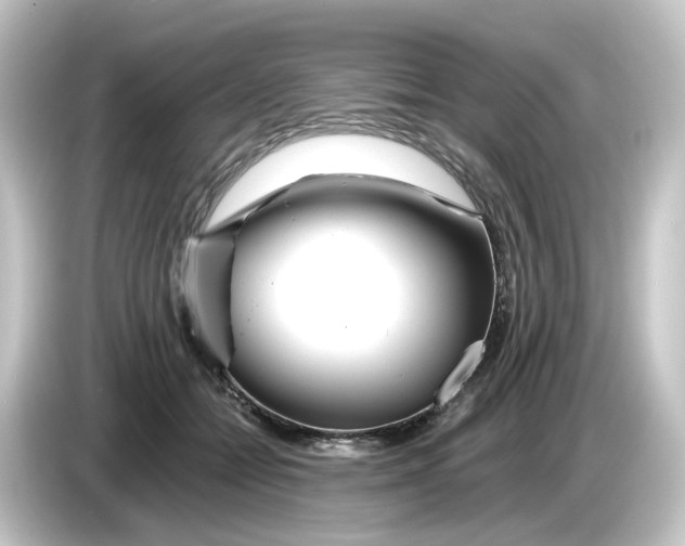 X0000084550558200703161648