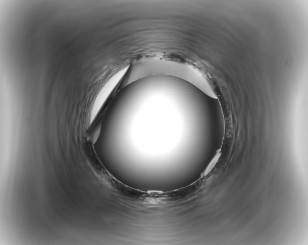 X0000084550560200703161648