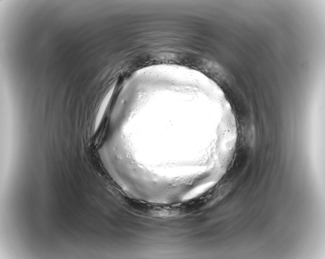 X0000084550561200703161648