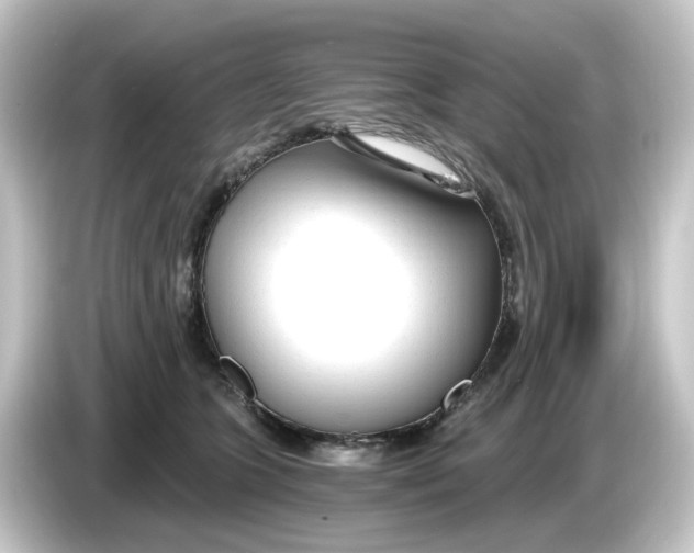 X0000084550563200703161648