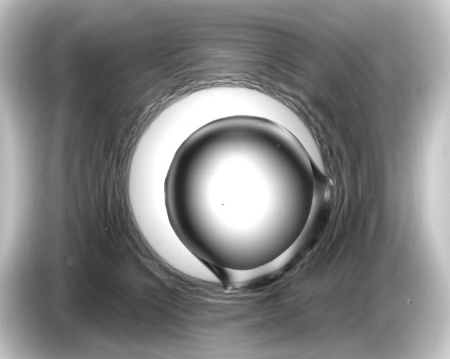 X0000084550564200703161648