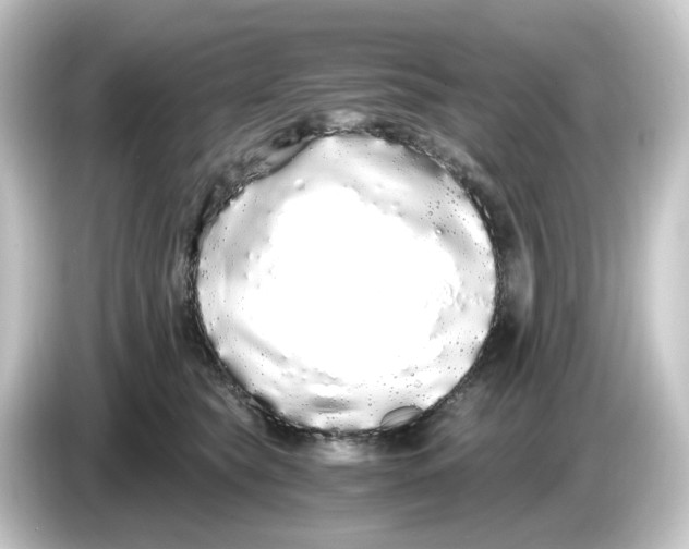 X0000084550565200703161648