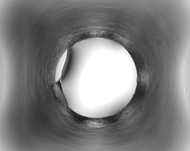 X0000084550567200703161648