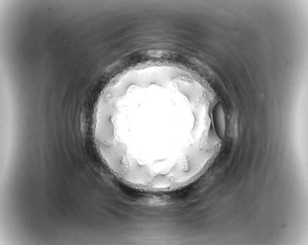 X0000084550569200703161648