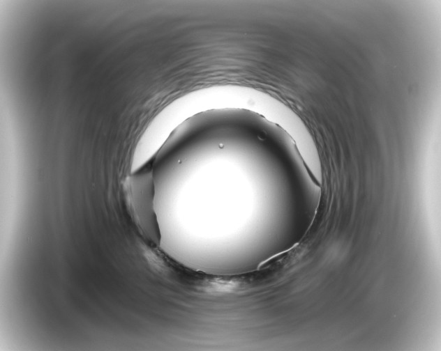 X0000084550570200703161648