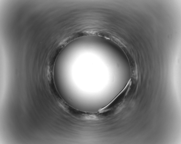 X0000084550572200703161648