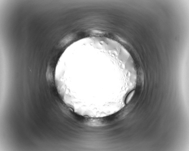 X0000084550573200703161648