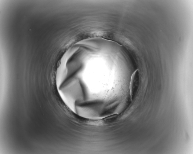 X0000084550576200703161648