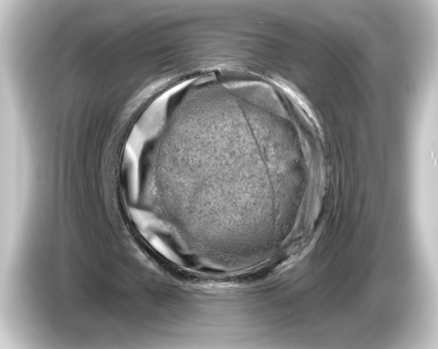 X0000084550577200703161648