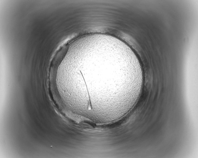 X0000084550578200703161648