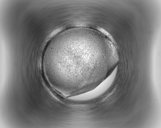 X0000084550581200703161648