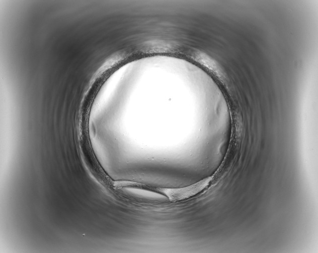 X0000084550582200703161648