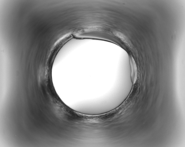 X0000084550583200703161648