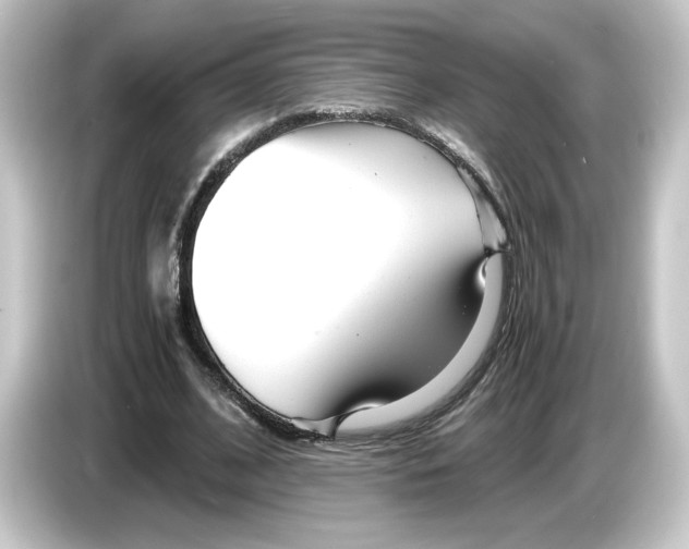 X0000084550584200703161648