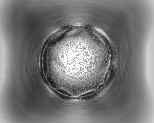 X0000084550585200703161648