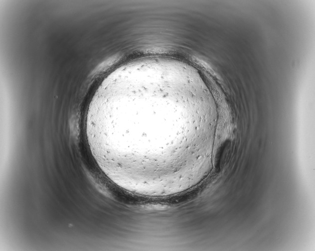 X0000084550586200703161648