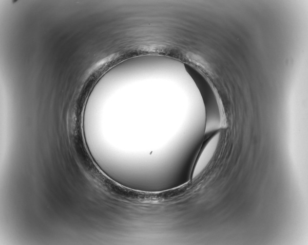 X0000084550587200703161648