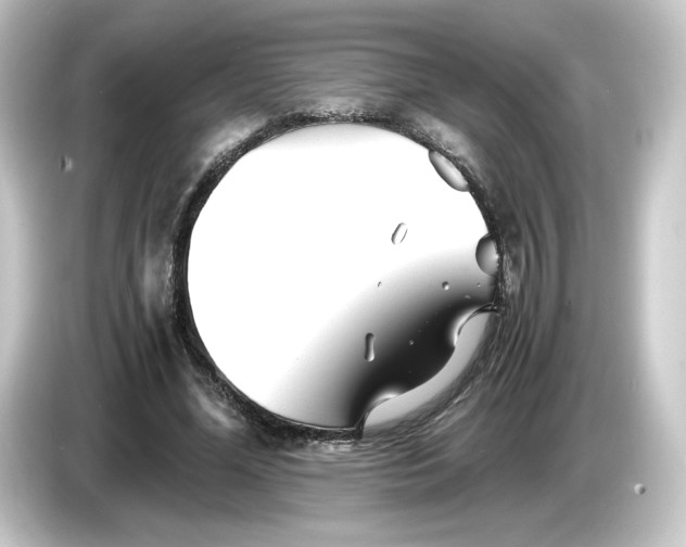 X0000084550588200703161648