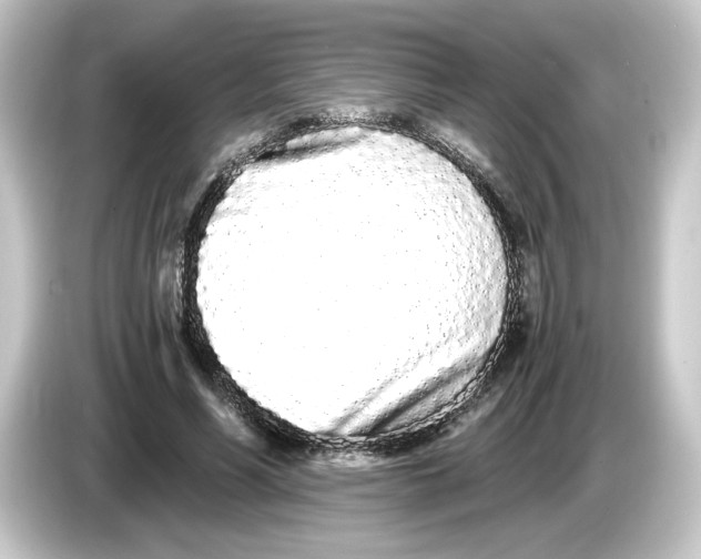 X0000084550590200703161648