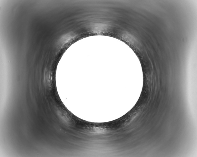 X0000084550592200703161648