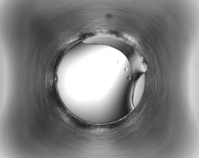 X0000084550593200703161648