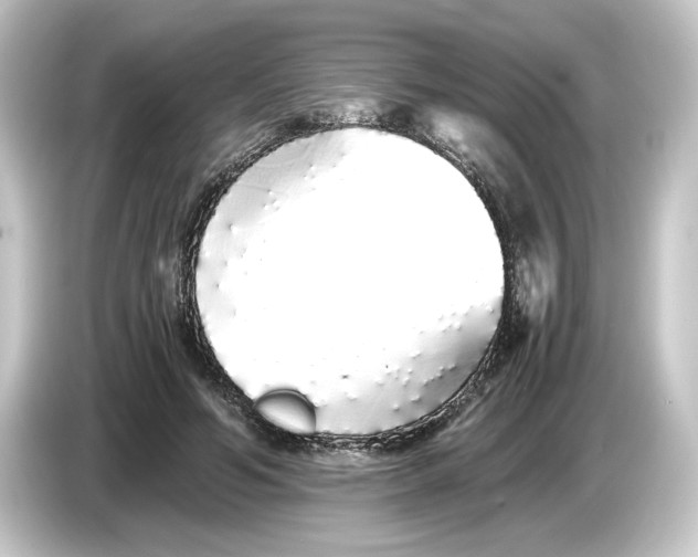 X0000084550594200703161648