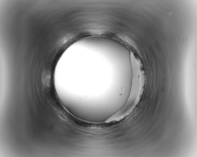 X0000084550596200703161648