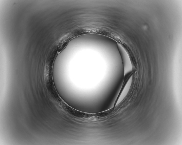 X0000084550600200703161648