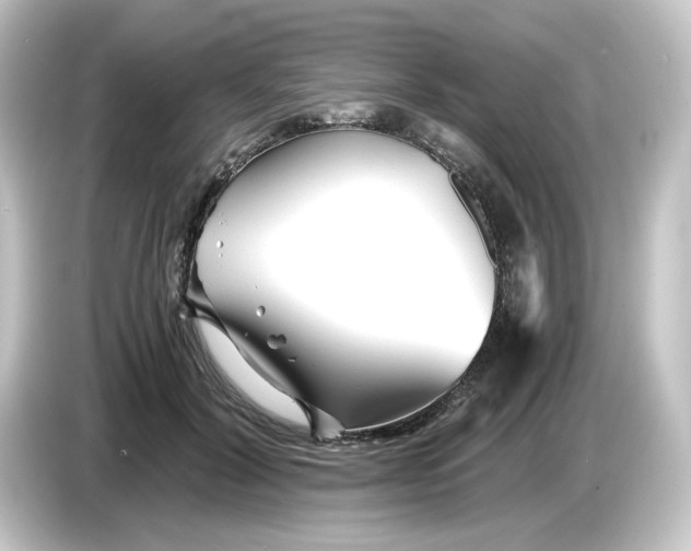 X0000084550604200703161648