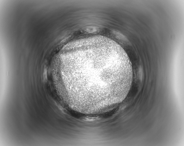 X0000084550606200703161648