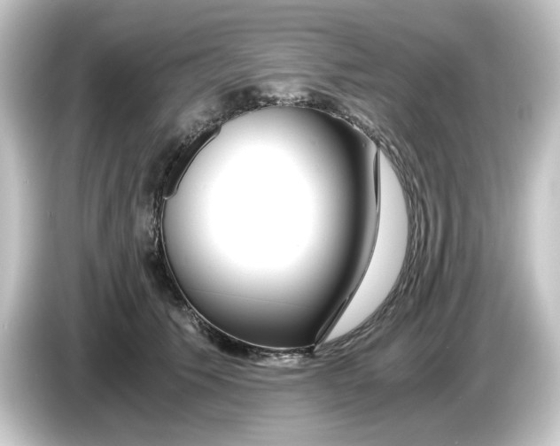 X0000084550609200703161648